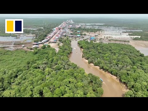 Chinese-built dams threaten Mekong ecosystem