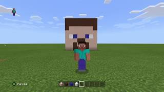 Minecraft how to build a steve head