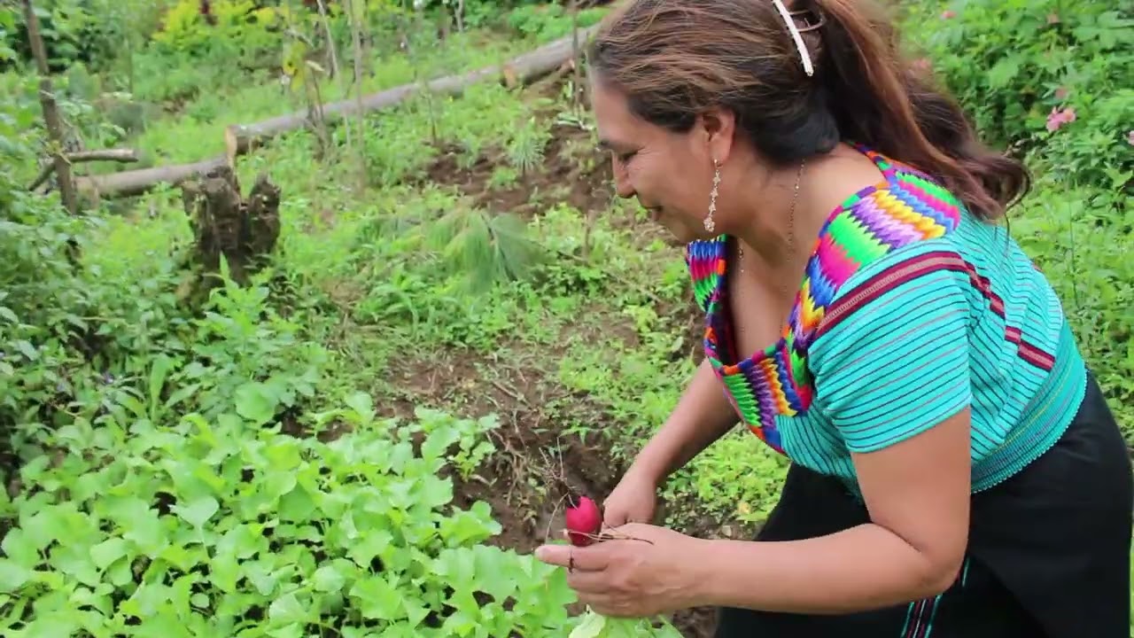 youtube-video-thumbnail