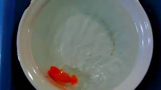 CIMG5823