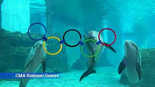 CMA Summer Games
