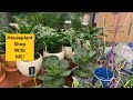 Things Got Weird | Reduced Price Nursery | Houseplant Shopping