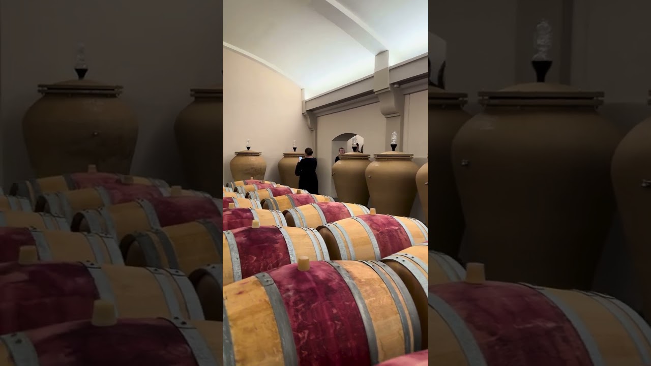 Amphoras and barriques at Château Lagrange in Saint Julien 🏺🛢️🇫🇷