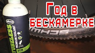 ✔️ Slime Premium часть 2. Год в бескамерке