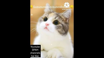 Youtube spam channels be like