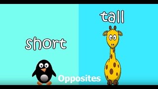 Opposites song for children