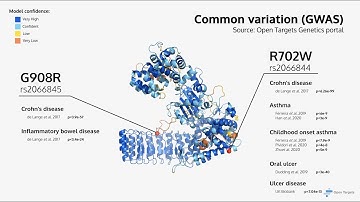 NOD2 and disease variation