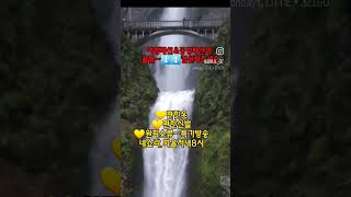 #여행룩꿀뗌#공항패션꿀뗌#이대맛집#네츄럴런드리#워킹맘룩#네쇼라방송하는옷집#코디잘해주는이대언니