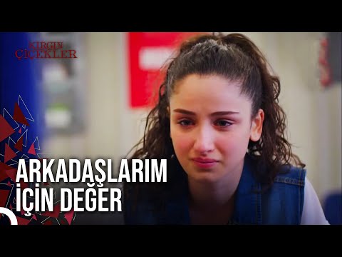 Songül, Arkadaşları İçin