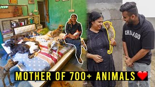 She Takes care of Abandoned Pitbull, Monkey & 700+ other Animals