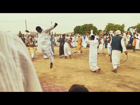 عندما يبدع هادي السليم