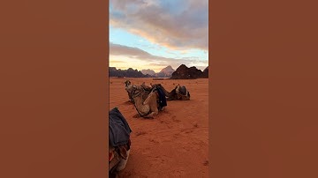 📍 Wadi Rum, Jordan 🇯🇴 Follow for daily Content