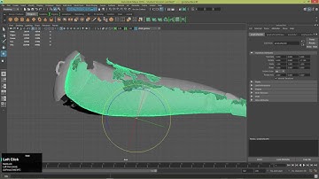 Cleaning and Aligning Scans in Maya