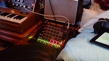 Synth through guitar amp