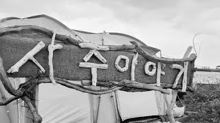 동강의 사주상담소 [ 동강의언덕 ] 라이브 방송