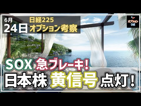 【日経225オプション考察】6/24 米SOX 天井を付けて急落モード! これで日本株は黄信号点灯に!
