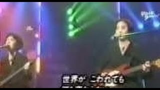 NAV KATZE　  アルカディア　【TV-LIVE.1992】