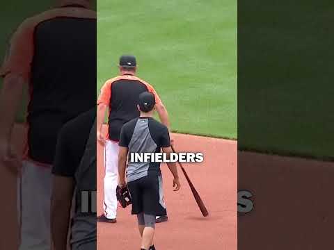 New MLB RULES