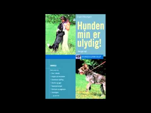 Video: Hvordan jeg møtte hunden min