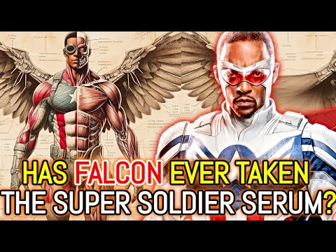 Falcon Anatomy Explored
