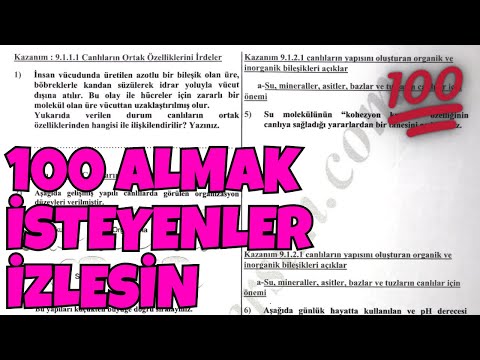 9.Sınıf Biyoloji 1.Dönem 1.Yazılı