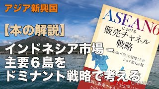 【本の解説】インドネシア市場 主要6島をドミナント戦略で考える