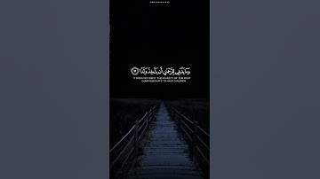حالات وتس قرآن كريم ياسر الدوسري سوره مريم "وقالوا اتخذ الرحمن ولدا"|Quran kareem