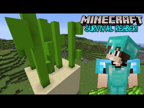 DEVASA Şeker Kamışı Heykeli ve Farmı !! / Minecraft Survival Rehberi B9