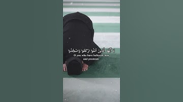 ( يا ايها الذين امنوا اركعوا واسجدوا واعبدوا ربكم ) تلاوة مميزة للقارئ عبدالرحمن مسعد