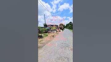 Đất 1/ Tỉnh Lộ 15, xã Nhuận Đức, dt 137m2, chỉ 1 tỷ 630 (S467) #đất_củ_chi #shorts