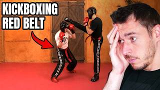 Is This Self-Defense System Good Enough?