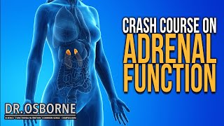 Crash Course On Adrenal Function