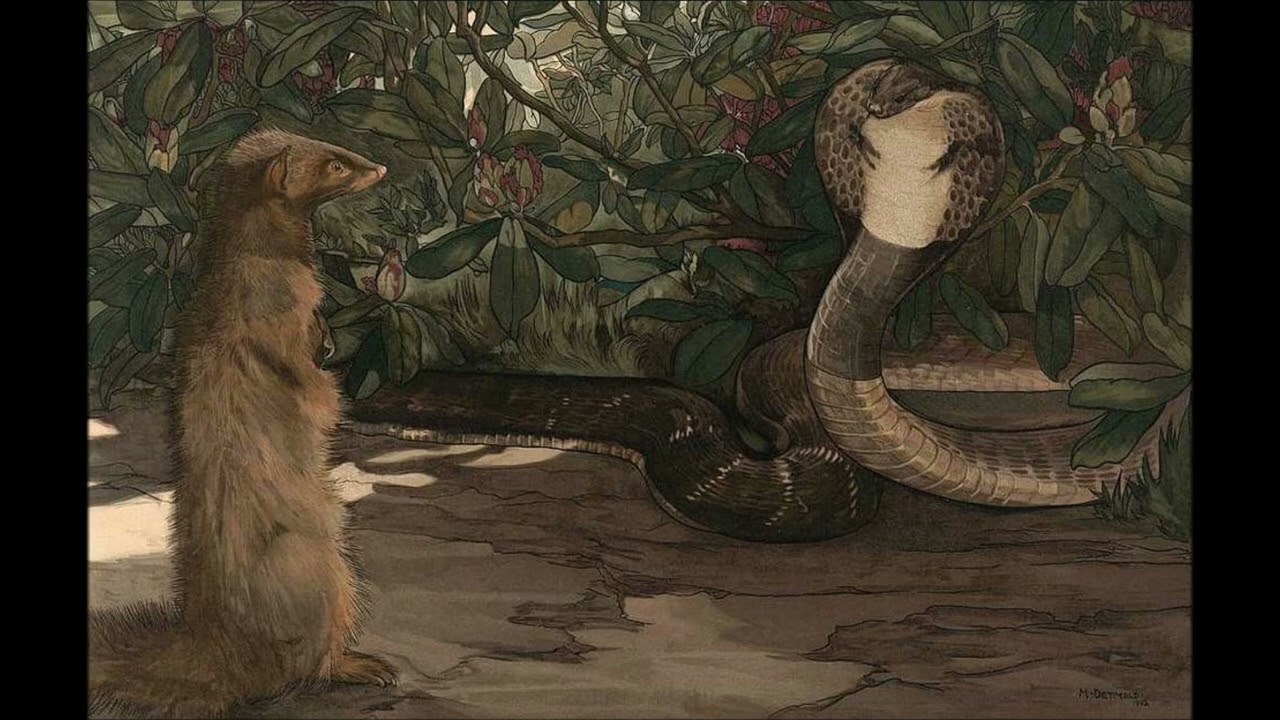 TeChNoBoT   Riki Tiki Tavi