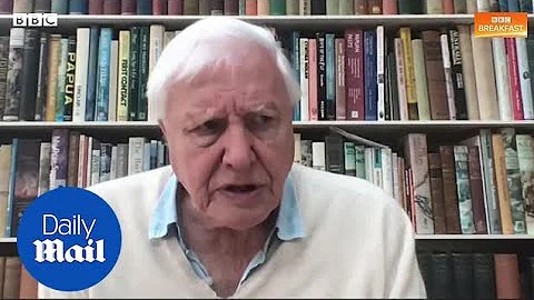 David Attenborough warns Extinction Rebellion to be 'careful'