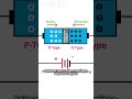 🔌 Standard PN Junction Diode #electronic #science #explore #switch #tech #junction  #sciencefacts