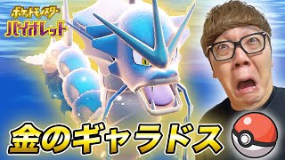 金のギャラドスが強すぎて大変なことに…  Part12【ポケットモンスター スカーレット・バイオレット】【ポケモンSV】