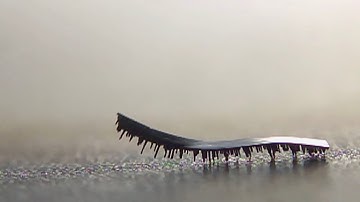 Tiny caterpillar-like robot to transport drugs around body