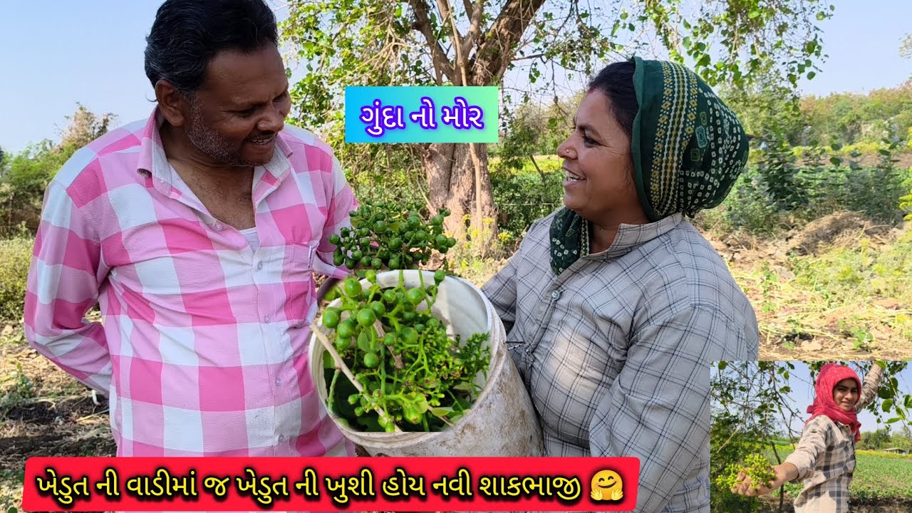 ખેડૂત ની વાડીમાં જ ખેડૂત ની ખુશી હોય 🤗🥰 નવી શાકભાજી ગુંદા નો મોર 🤗🤗