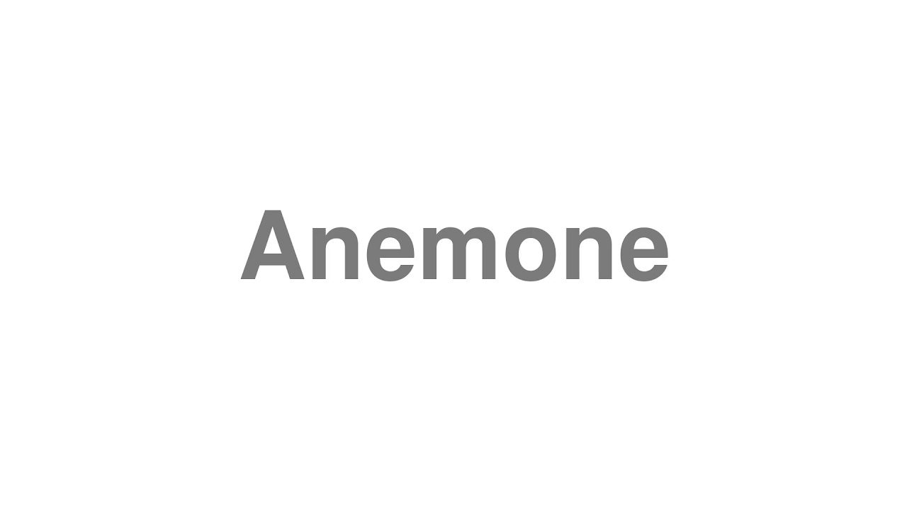 How to Pronounce "Anemone"