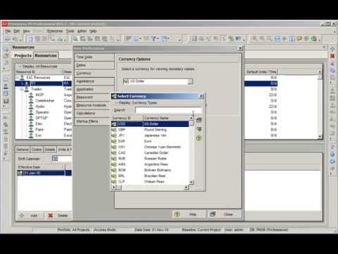 Primavera P6: Adding new currency and changing user preferences