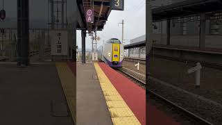 JR北海道　キハ261系特急北斗号　新函館駅にて　GW中に北海道に行きました。新函館北斗駅が近かったので少しだけ撮り鉄しました