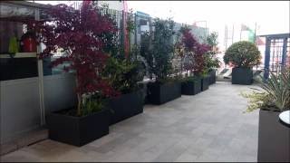 Arredamento Terrazzo con Progetto del Verde