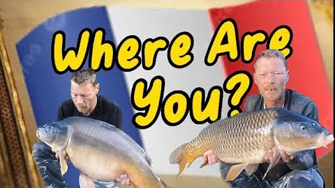 Where are You???