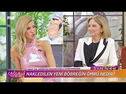 Kronik Böbrek Hastalığı