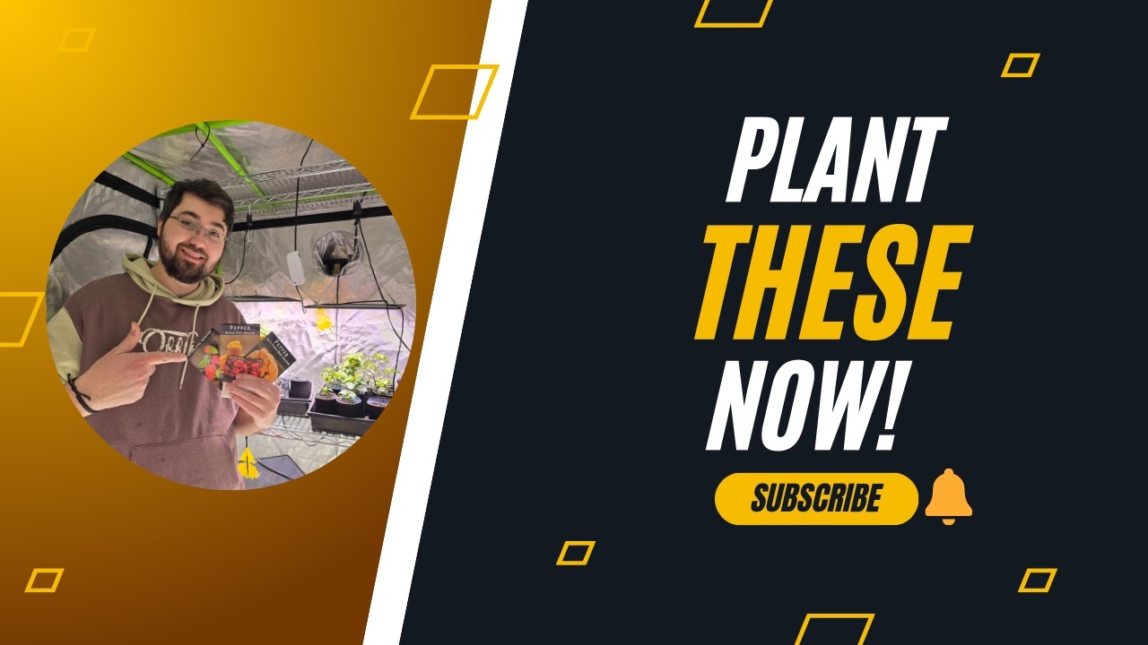 Plant these seeds NOW in January before its TOO LA YouTube