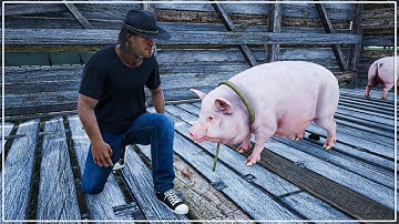 STARTING OUR DREAM HOMESTEAD with Pigs in Ranch Simulator