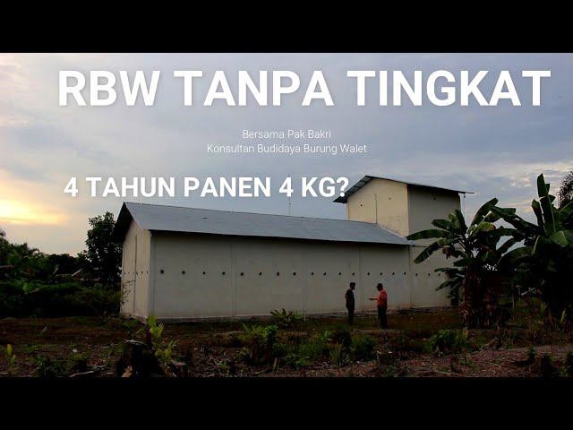Spesialis RBW Tanpa Tingkat | Mulyanda Official class=