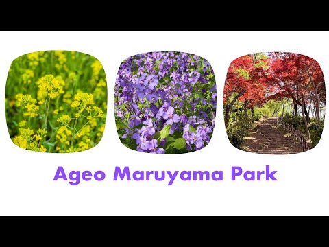 [Japan Travel] Ageo Maruyama Park || 上尾丸山公園 [4K]