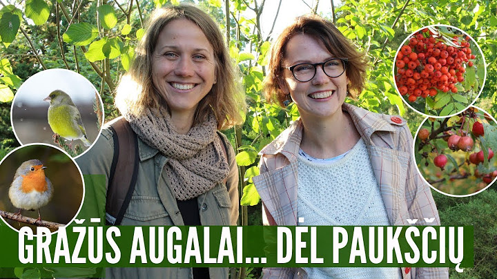 Paukščiai kieme: kokie augalai kokius paukščius privilioja