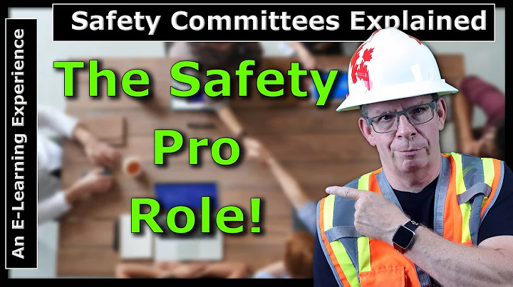 The role of the SAFETY Professional on the SAFETY Committee